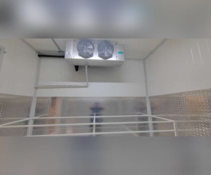 Congelación Image4